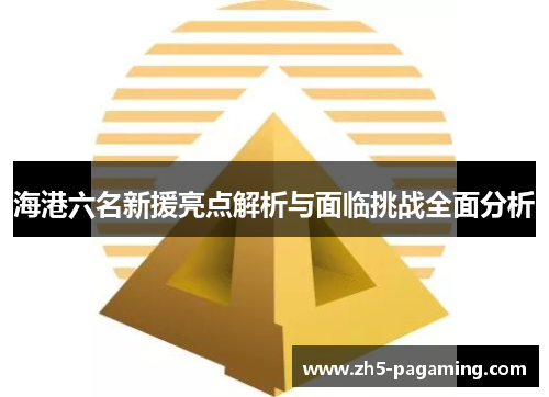 海港六名新援亮点解析与面临挑战全面分析