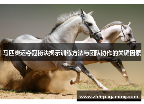 马匹奥运夺冠秘诀揭示训练方法与团队协作的关键因素 马匹奥运夺冠秘诀揭示训练方法与团队协作的关键因素