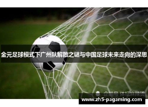 金元足球模式下广州队解散之谜与中国足球未来走向的深思 金元足球模式下广州队解散之谜与中国足球未来走向的深思
