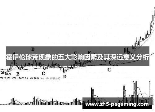 霍伊伦球荒现象的五大影响因素及其深远意义分析