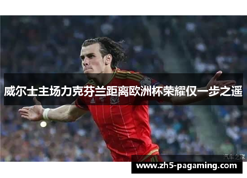 威尔士主场力克芬兰距离欧洲杯荣耀仅一步之遥 威尔士主场力克芬兰距离欧洲杯荣耀仅一步之遥